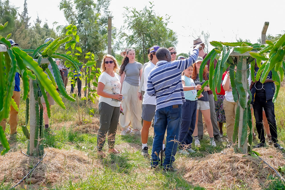 Growing Local Economies